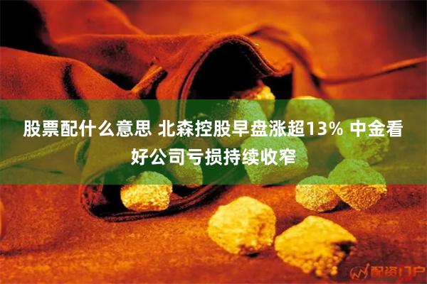 股票配什么意思 北森控股早盘涨超13% 中金看好公司亏损持续收窄