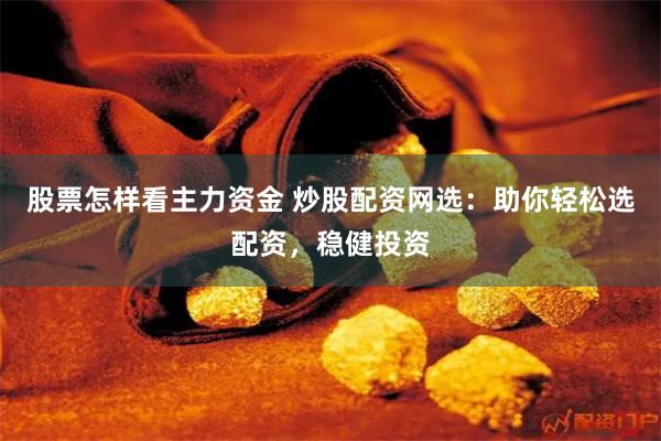 股票怎样看主力资金 炒股配资网选：助你轻松选配资，稳健投资