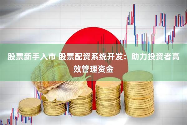股票新手入市 股票配资系统开发：助力投资者高效管理资金