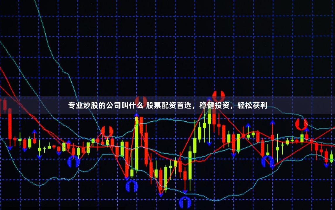 专业炒股的公司叫什么 股票配资首选，稳健投资，轻松获利
